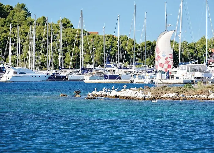 Daire Lovely In Rogoznicko *